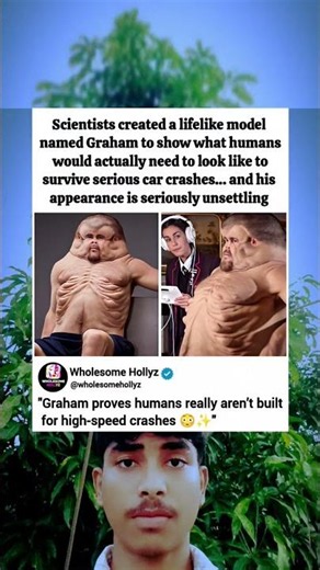 Meet Graham: The Crash-Proof Human 😳✨