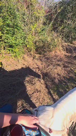 First ride of 2026 🐎❤️‍🔥 I got so lucky when I got Honey, she's the best mare ever and my bestfriend 💕