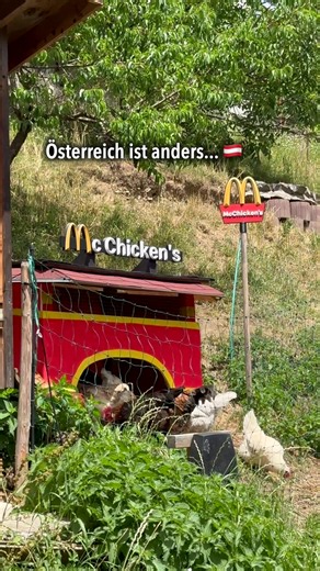 Österreich ist einfach anders! 😂 #österreich #austria #mcdonalds #funny #chicken