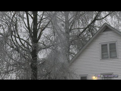 Caught on Camera: Ice storm constantly breaks large tree branches in Perryville, Missouri