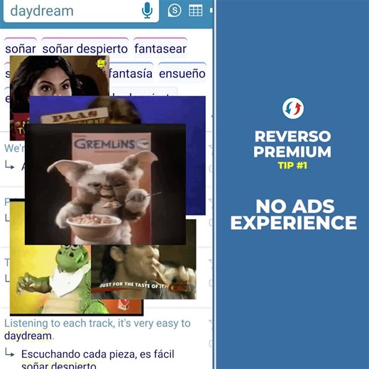 Check out ALL the benefits of Reverso Premium right now! https://documents.reverso.net/Pricing.aspx?lang=en&origin=4 | Reverso.net