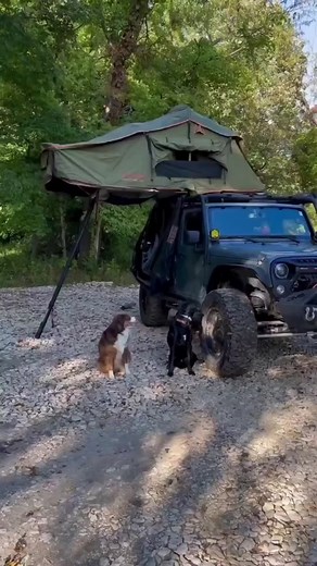 If the Jeeps a rockin don't come knockin... 😂 🎥 by @wethepeople4x4