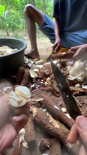 Easy Cassava Peeling for Beginners