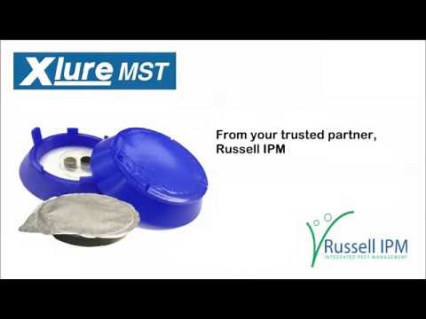 Xlure MST (Multi Species Trap) introduction - UK