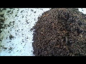 Indian Blue Worm - Video Response to Larry Hall