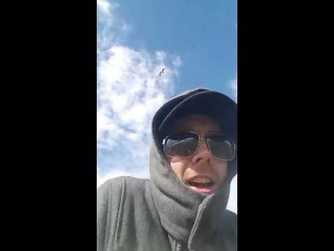 Viral Video UK: Attack of the Seagulls