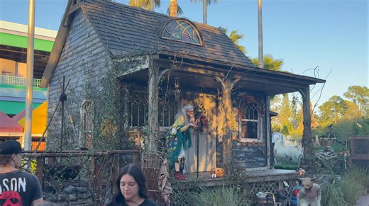 Kicking off the evening with The Cat Lady. We would get along. I like cats. | Bill Thompson