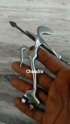 vintage bicycle logo