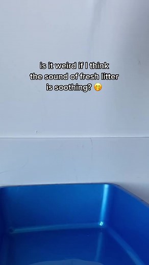 13K views · 64 reactions | 狼 Litter Box ASMR | PrettyLitter | Facebook