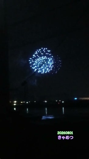 某納涼大会🎆花火🧨暗闇に大輪の花が沢山😍原理がどうなのかよりただ綺麗って感動してました🍀 トラックちゃん #花火 #大輪 #暗闇