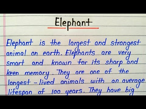 Elephant essay in english || Essay on elephant for students