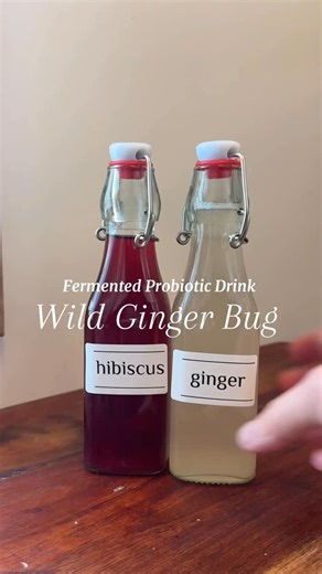 Teresa | DIY Beauty & Home on Instagram: "Making a wild ginger bug at home and playing around with different flavors! I’ll be sharing the full recipe and notes on Substack soon. #fermentation #guthealth #gingerbug #diyfood #probioticdrink"