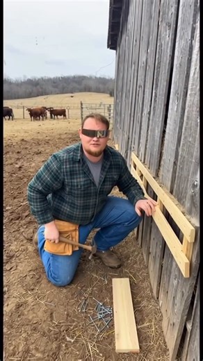 RADDIX on Instagram: "HOLY COW 🐄 Follow me for more crazy content you won’t find anywhere else✨Type “Cow” in the comments and I’ll send you a step by step guide on how to create these types of videos yourself! • • • • • #memes #viral #trending #cowboy #farm"