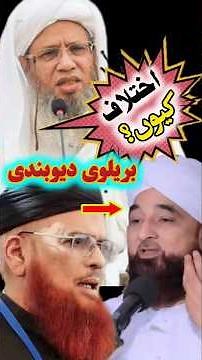 Brelvi Deobandi Such Ik Hai | Mufti Adul raheem #brelvi #Deobandi #JTR #JUI #islamicshorts