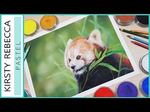 BEGINNERS PASTEL TUTORIAL // How to draw a realistic red panda using pan pastels and pastel pencils!
