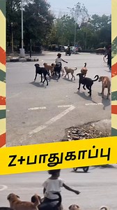 🔥யாரும் தொட முடியாத பாதுகாப்பு💥 #trendingreel #reels #viral #baby #memes Black Cap | Black Cap