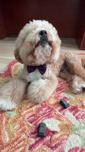 Charlie's performing one of musical theatre's most iconic and emotionally powerful songs -