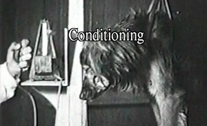 Sorry, we have encountered a problem. - Alexander Street, a ProQuest Company