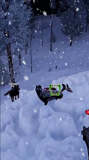 Night What's Wrong With Your Neck?? #wolfquest #wolfquestanniversaryedition