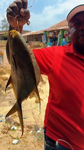 #fish #samaki #naming #mombasafishmarket #challenge #kenya #blueeconomy #shimoni #shimonifishport #Ecosystem #marine #kenyaportsauthority #management | Mombasa City FISH Market