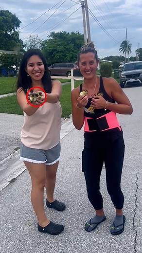 162K views · 483 reactions | Animal Rescue Gone Hilarious ️ #Fails #Trending #Funny #AnimalRescue #GoodIntentions | Tiffany Rothe Workouts | Facebook