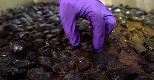 Deep sea mining: Into the deep | 60 Minutes Archive