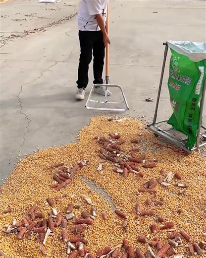 779K views · 1K reactions | How to use a dustpan sieve! | Lilyon | Facebook