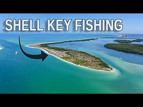 Fishing Shell Key: Tampa Bay