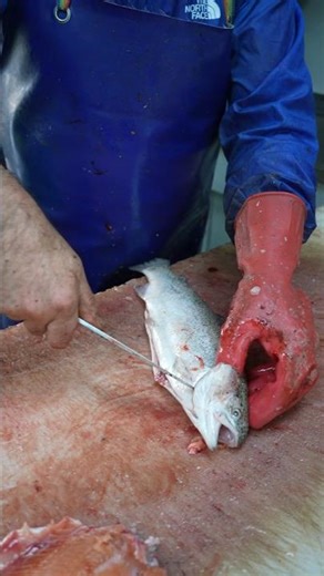 Asian Chef’s Secret: How to Debone Salmon Perfectly Every Time