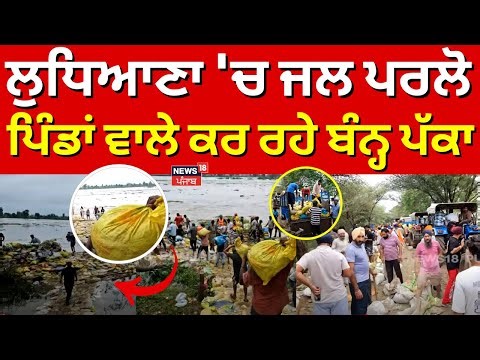 Live | Ludhiana Floods Update | ਲੁਧਿਆਣਾ 'ਚ ਜਲ ਪਰਲੋ, ਪਿੰਡਾਂ ਵਾਲੇ ਕਰ ਰਹੇ ਬੰਨ੍ਹ ਪੱਕਾ | Sasrali | Sutlej