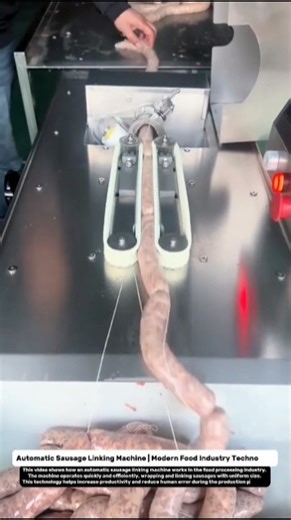 Automatic Sausage Linking Machine | Modern Food Industry Technology.