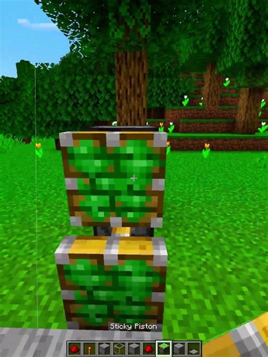 Minecraft Automatic Door💀