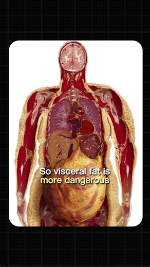 How to Check Body Fat Percentage & BMI Explained