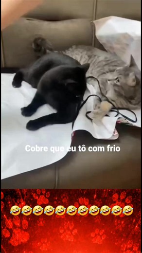 Funny viral meme compilation — best short memes 2026