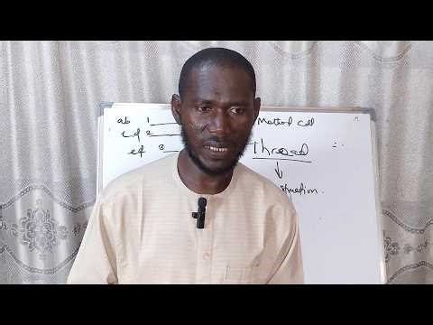 Java Part 8 Variables (Java Variables Tutorial for Absolute Beginners part one)
