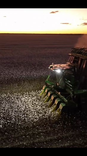 Amity Robson (@amityrobson)’s videos with Without Me x Let It Rock - DAVO