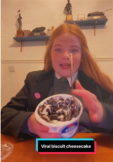 Delicious Greek Yoghurt and Biscuit Cheesecake Recipe