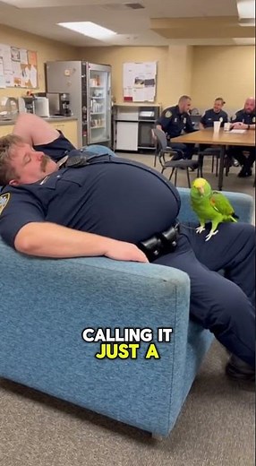 PARROT Gives a BRUTAL Diagnosis to a Cop! 🤣