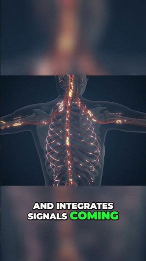 Interoception: Unlock Your Body's Internal GPS! #shorts