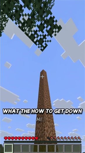 What happens when you convert a 1.0 world to a 26.1 world?