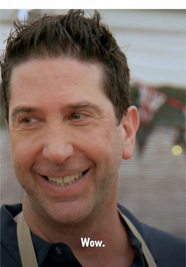 David Schwimmer's Memorable Handshake Moment on Bake Off