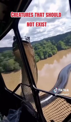 Exploring Mysterious Creatures of Cryptozoology