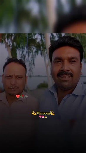 Pashto Poetry Insights and Community Engagement