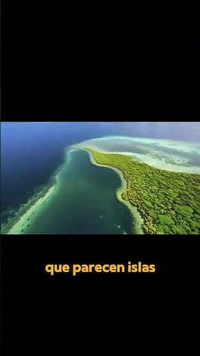 The Sargasso Sea: An Ecosystem Suspended in the Ocean