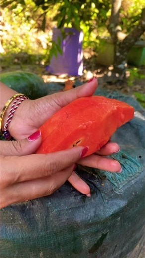 Papaya Fruit #papaya