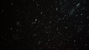 Falling Snow Flakes From the Sky
