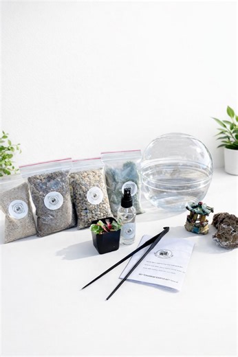 DIY Live Moss Terrarium Kit | 7" Dome Glass Jar, Garden Craft - Etsy