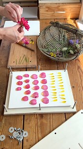 A wonderful mindful process filling a Meadow and Thyme flower press with freshly picked flowers from the garden. You can find a link to purchase my beautiful flower presses on my website, and there are refill packs of blotting paper and greyboard available in my webshop. 🌼 #mindfulmoments #flowers #englishcountrygarden | Meadow and Thyme