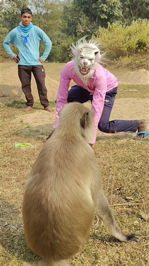 Langur Reacts When I Wear Animal Mask 🐒🎭