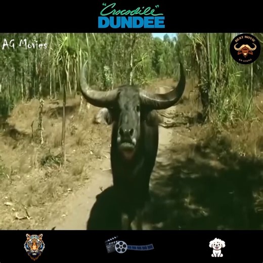 3.1M views · 42K reactions | Top Movies Netflix 2024 | El JEM Cycle | Facebook